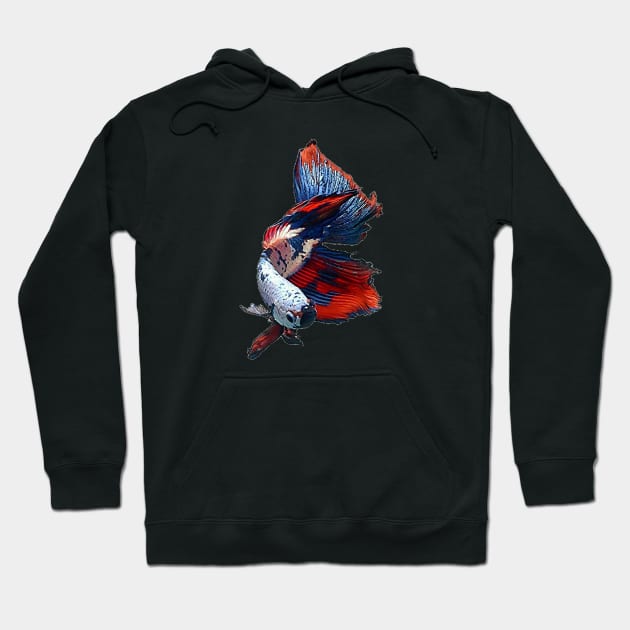 halfmoon betta fish Hoodie by MACIBETTA